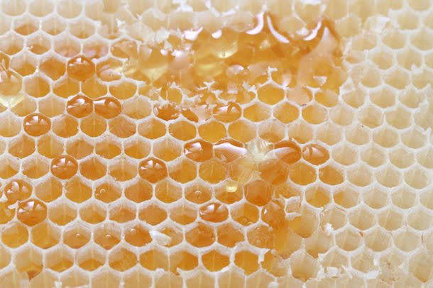 蜂巢与蜂蜜jpg设计背景_88icon https://88icon.com 图片素材 底纹背景 背景图案 背景花边 蜂巢与蜂蜜图片 蜂巢与蜂蜜图片素材下载 蜂巢纹理背景 蜂巢背景 蜂窝背景 蜂蜜 蜜糖