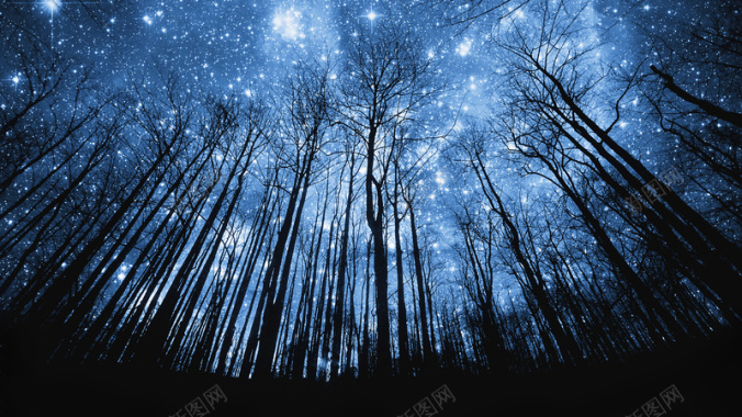 仰望夜空星空树林背景背景