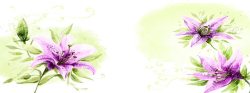 剪纸风紫色鲜花插画紫色花朵背景高清图片