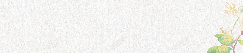 清新金银花药材花茶psd设计背景_88icon https://88icon.com 150PPI PSD源文件 中药养生 分层文件 平面设计 野生金银花 金银花 金银花泡茶 金银花种植 金银花茶 金银花茶叶