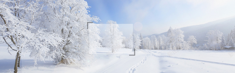 唯美冬季雪地背景摄影图片