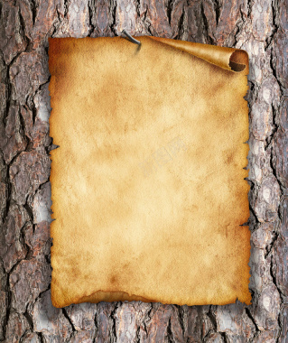 木纹羊皮纸背景背景