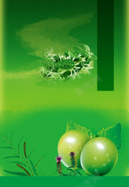 绿色青梅零食海报背景模板背景