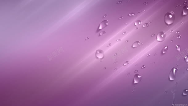 紫色背景露珠海报背景背景