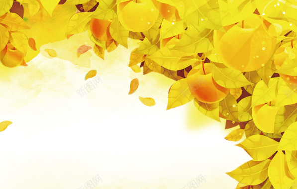 秋日黄色树叶促销背景图摄影图片