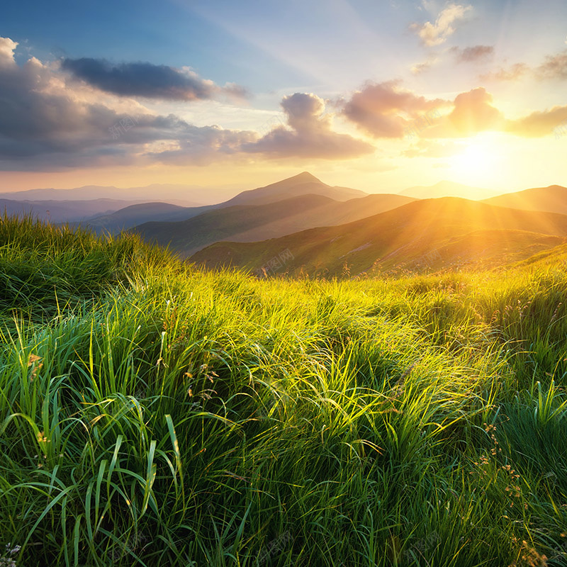 夕阳风景背景jpg_88icon https://88icon.com 主图 夕阳 摄影 草原 风景 高山