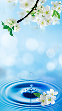 蓝色化妆品白色小花背景摄影图片