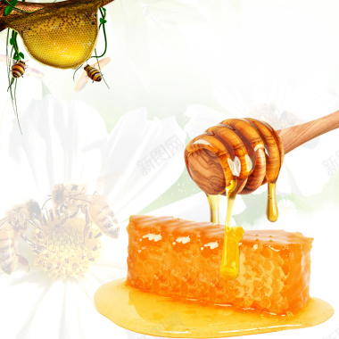 蜂蜜蜂巢食品促销PSD分层主图背景背景
