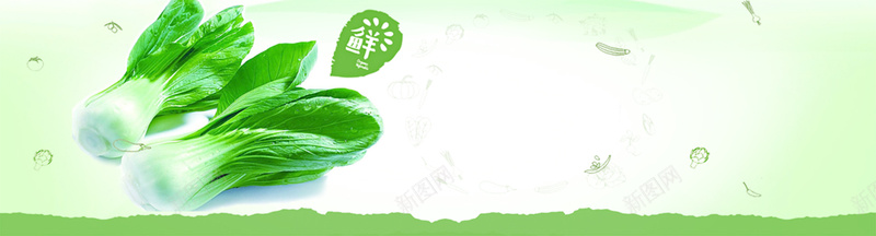 冬季简约健康蔬菜厨房绿色banner背景背景
