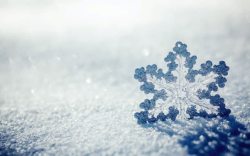 钟表上的雪花图片雪地上的蓝色透明雪花海报背景高清图片