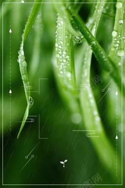 传统二十四节气雨水海报背景背景
