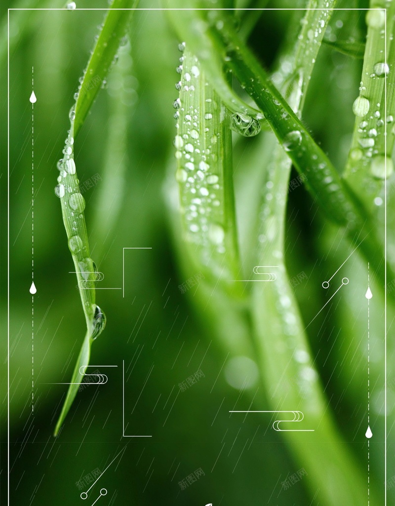 传统二十四节气雨水海报背景psd设计背景_88icon https://88icon.com PSD源文件 PSD素材 中国传统 中国文化 二十四节气 传统 传统雨水 你好雨天 分层文件 文化传统 背景模板 背景海报 背景素材 雨水 雨水天气 雨水节气 高清背景