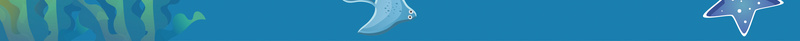 卡通人物海底世界旅游宣传海报psd设计背景_88icon https://88icon.com 世界 人物 卡通 宣传 旅游 海底 海报 海豚 海边 素材 背景 蓝天白云