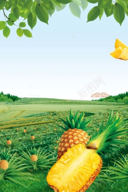 绿色清新水果菠萝促销海报背景