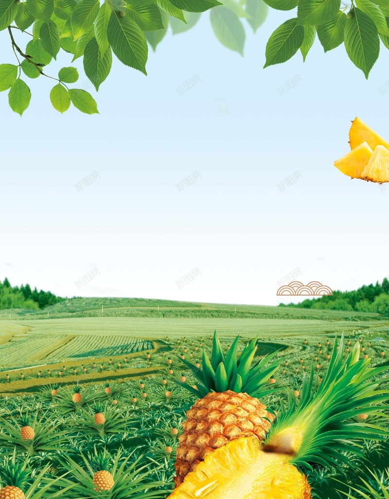 绿色清新水果菠萝促销海报psd设计背景_88icon https://88icon.com 促销 创意 夏令水果 夏季 天空 小清新 户外 果园 果汁 树叶 水果 活动 美味 美食 菠萝 菠萝宣传海报