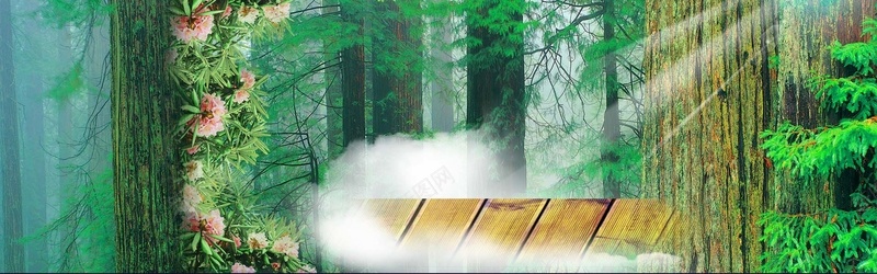 树林迷雾云背景图摄影图片