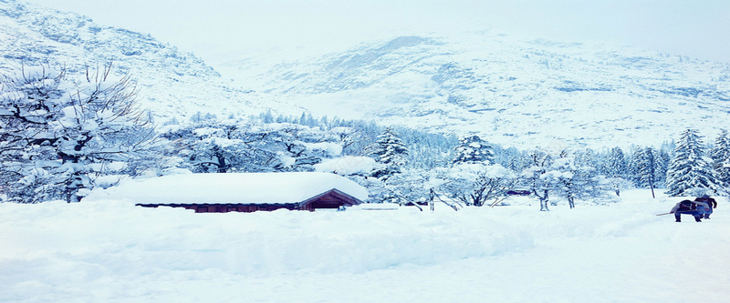 唯美冬季高山雪景海报背景图jpg设计背景_88icon https://88icon.com 冬天 冬季高山背景图 唯美 房屋 树木 白雪 积雪 美景 自然 雪地 雪景海报 雪花 风景