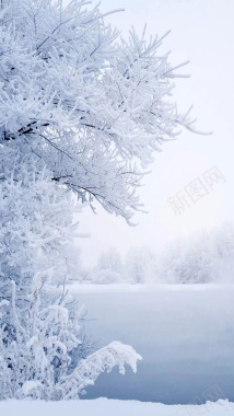 雾凇雪凇背景摄影图片