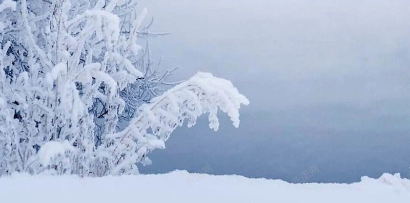 雾凇雪凇背景jpg_88icon https://88icon.com 大雪 摄影 背景 雪 雪凇 雾凇 风景