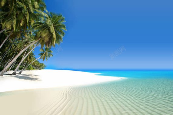 椰树沙滩蓝天风景背景