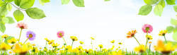 春季童装唯美花朵海报背景高清图片