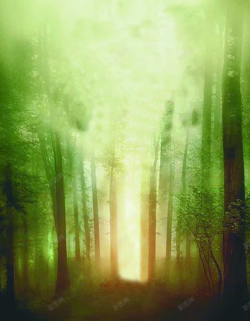 绿色树林迷雾jpg_88icon https://88icon.com 土地 宁静 安谧 幸福 摄影 树林 梦幻 森林 温暖 绿色 自然 迷雾 风景