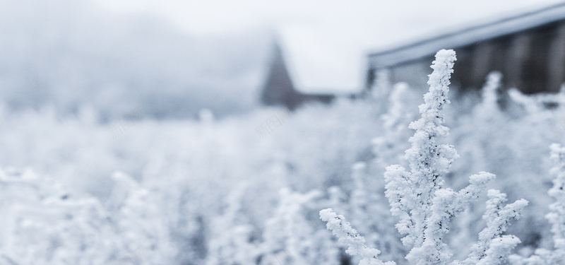 摄影结冰背景jpg_88icon https://88icon.com 下雪 冬天 冬日 摄影 海报banner 结冰 雪景 风景