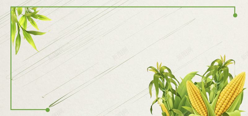 夏季绿色手绘食品蔬菜玉米促销banner背景