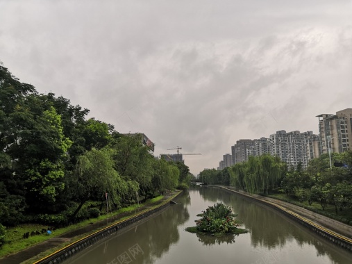 高楼和丛林的交互背景