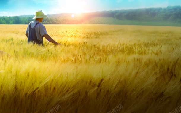 阳光下的劳动人民jpg设计背景_88icon https://88icon.com 人民 劳动 阳光