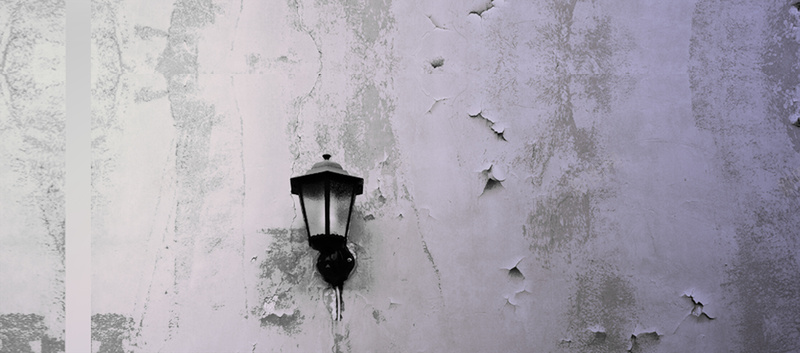 淘宝bunnertaobao背景