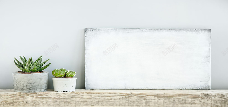 白色画框和植物盆栽背景