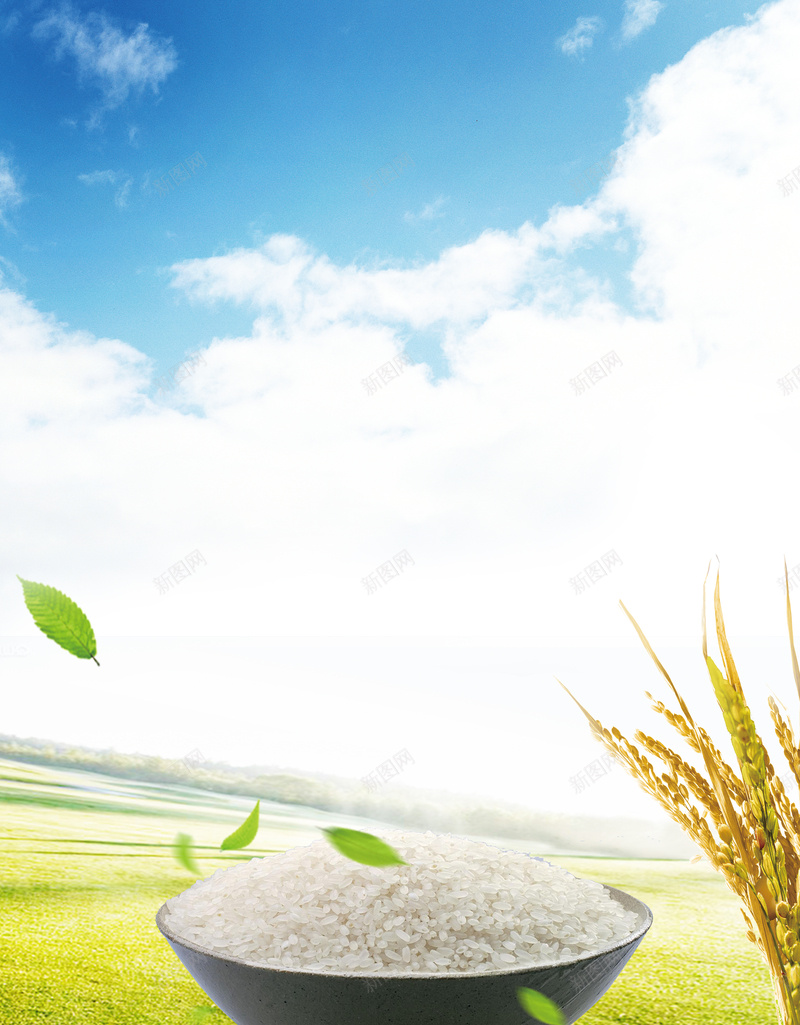 天空草地稻谷大米广告海报背景jpg设计背景_88icon https://88icon.com 东北大米 优质大米 健康大米 农家大米 大米宣传广告 天空草地 海报背景 清香米 温暖 稻谷 粮食 绿色