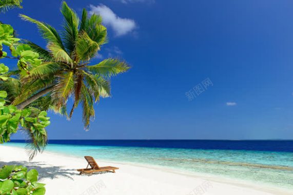 蓝天椰树海洋风景背景