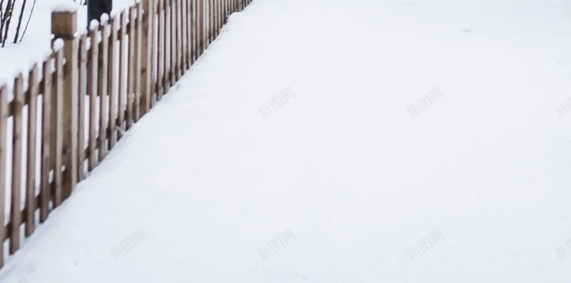 冬天白色冰雪道路H5背景jpg_88icon https://88icon.com 冬天 冰雪 摄影 树林 白色 道路 雪景 风景