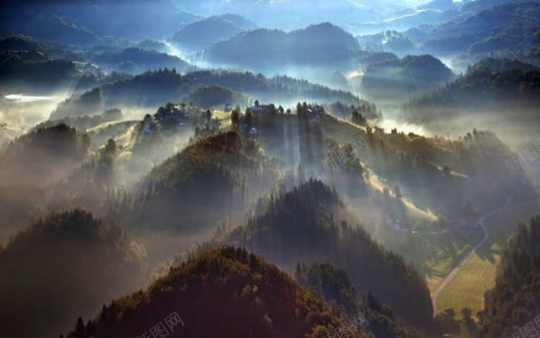 绿色森林空旷宽屏背景