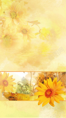 唯美花朵花茶海报背景模板背景
