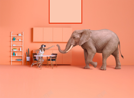 橙粉色屋子里的人与大象背景