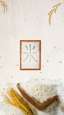 大米米饭古风稻田有机种植H5背景背景