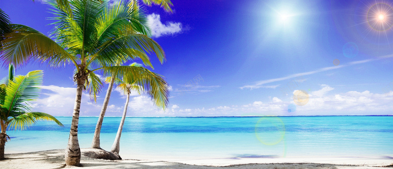 清新夏季海边沙滩椰子树摄影图片