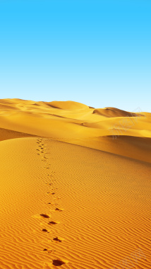 黄色沙漠H5背景摄影图片