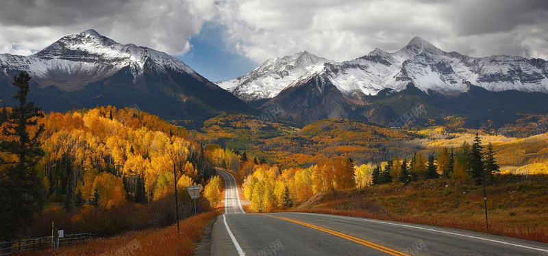 雪山森林风景jpg_88icon https://88icon.com 大气背景 摄影 海报banner 蓝天 雪山 风景 高清图片 黄色森林