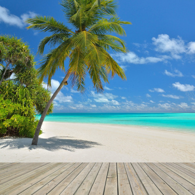 夏日海滩椰子树背景摄影图片