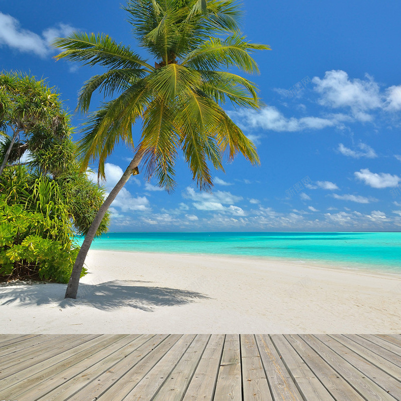 夏日海滩椰子树背景jpg_88icon https://88icon.com 主图 夏日 摄影 椰子树 海滩 风景