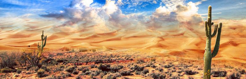户外沙漠背景背景