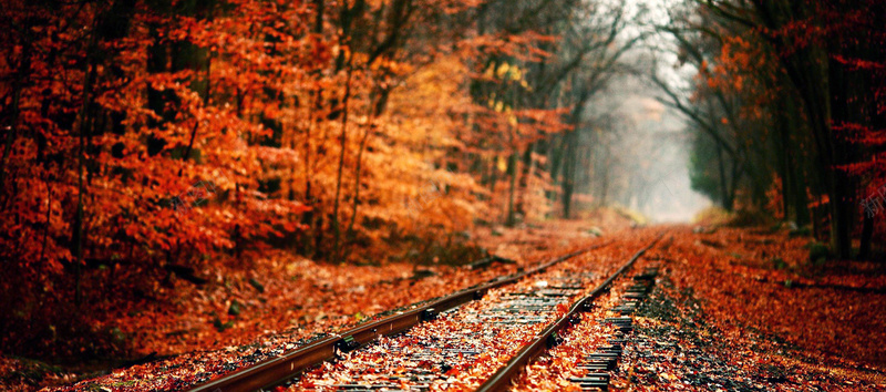 秋季枫林铁轨意境背景摄影图片