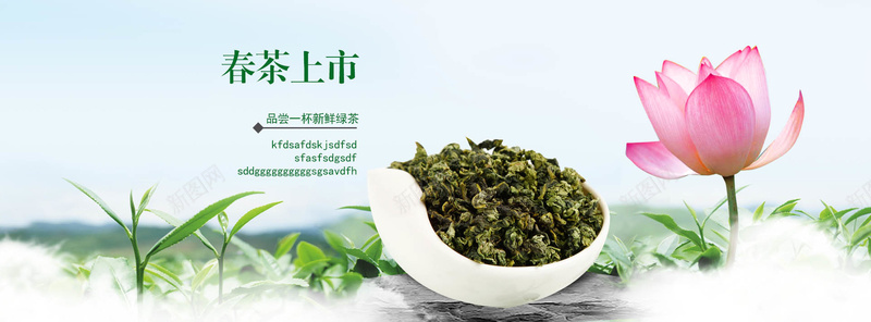 绿茶banner摄影图片