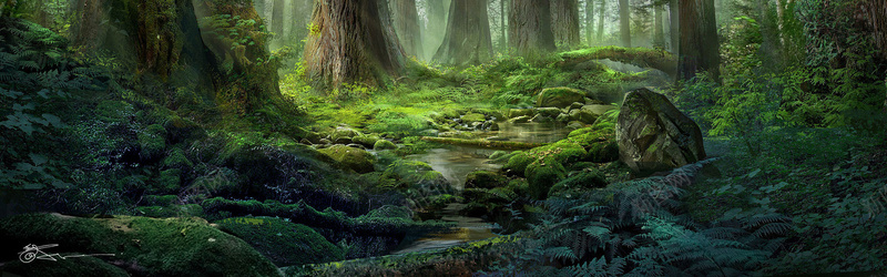 梦幻森林背景摄影图片