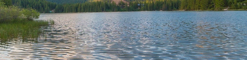 自然池塘水波纹背景摄影图片