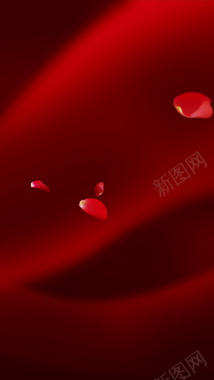 红色丝绸玫瑰花瓣H5背景摄影图片
